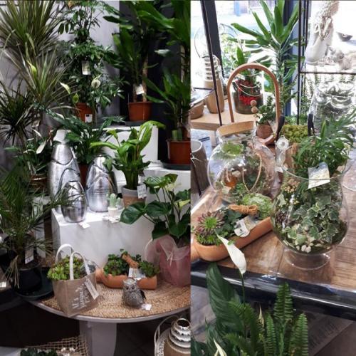 espace de vente au sein de la boutique de fleurs